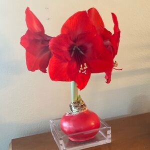 Meet your Posher, Posh